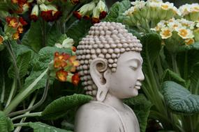 Buddha Statue garden green flowers