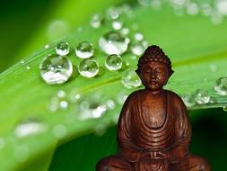 Buddha Meditation Figure and water drops