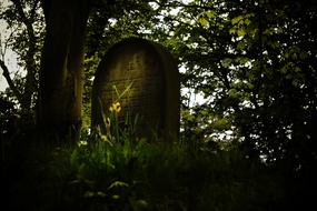 Mourning Cemetery forest