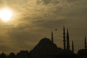 Beautiful landscape with the silhouette of Sultanahmet Cami with the flying birds, in Ä°stanbul, Turkey, in sunlight