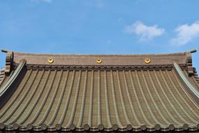 Architecture Roof
