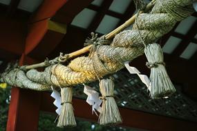 photo shimenawa in japanese temple