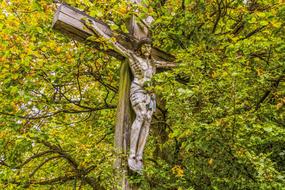 Jesus Cross forest