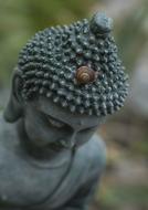 Buddha and Snail