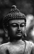 wonderful Buddha Black And White