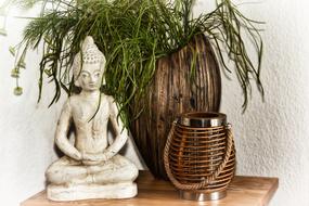 Buddha Religion Spiritual and flower