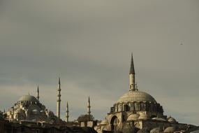 Cami Dome