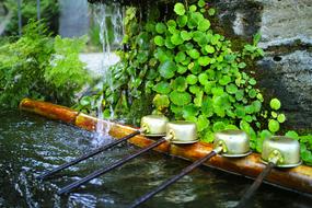 Water Shrine Japan green