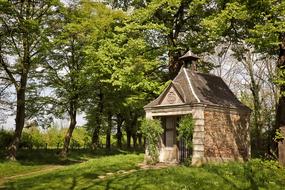 Chapel Away tree