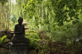 Buddha statue in Japanese garden