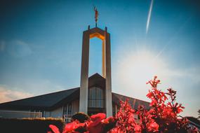 flowers red and Freiberg Church