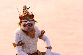Bali Monkey