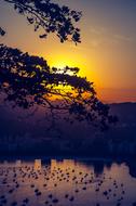 Rio De Janeiro forest