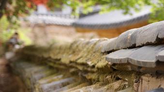 details of the temple complex in korea close up