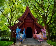 amazing Mythical Creatures