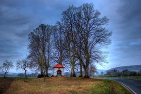 Chapel Holy trees