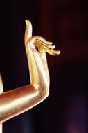 Buddha Gold hand