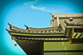 Architecture Building roof green