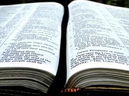 Bible Book Open page