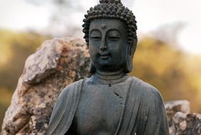 park statue of Buddha in zen