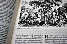 biblical story in illustrations