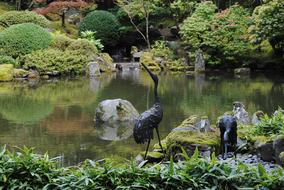 very beautiful Japanese Garden