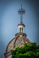 green tree and church dome