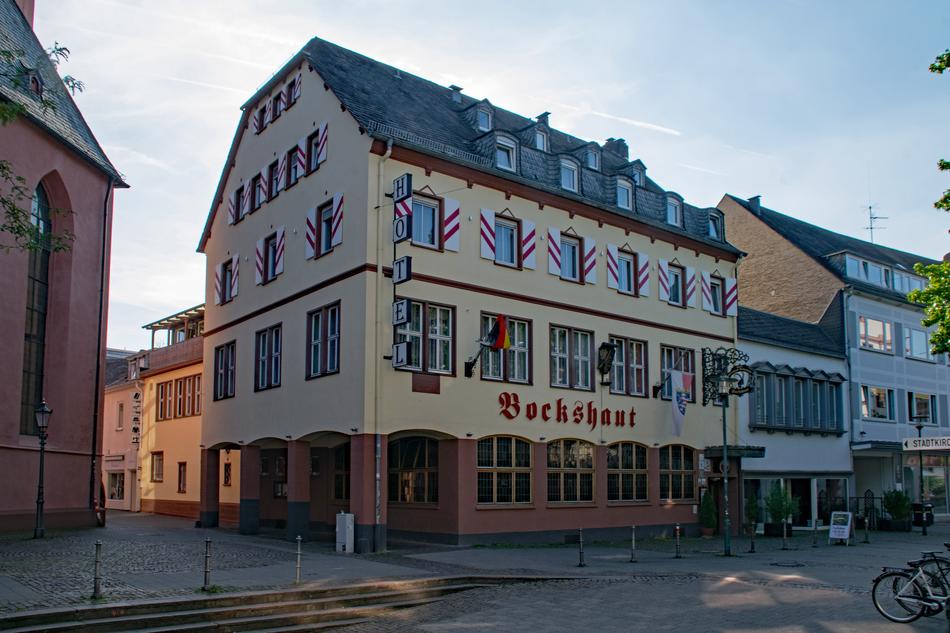 Goat Skin Darmstadt Hesse