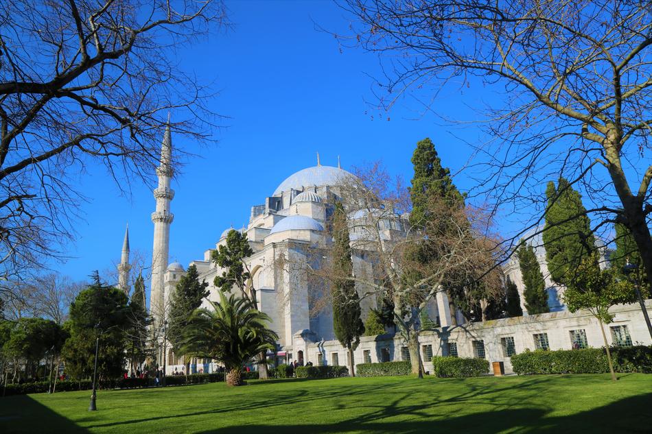 Beautiful SÃ¼leymaniye Cami, among the green plants, at blue sky on background, in Ä°stanbul, Turkey