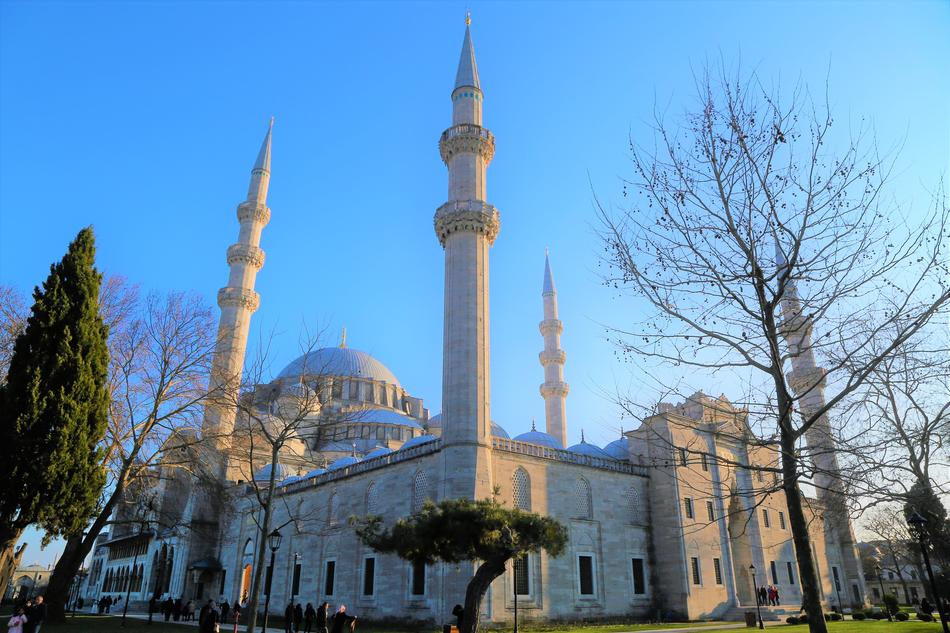 trees near the minaret in turkey
