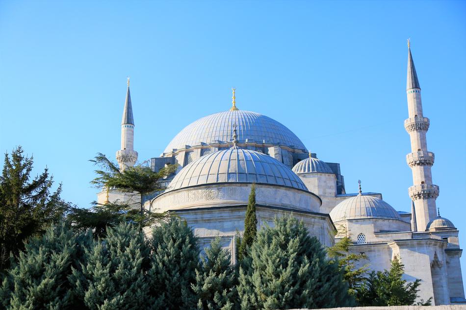Beautiful SÃ¼leymaniye cami, among the green trees, in Ä°stanbul, Turkey, at blue sky on background