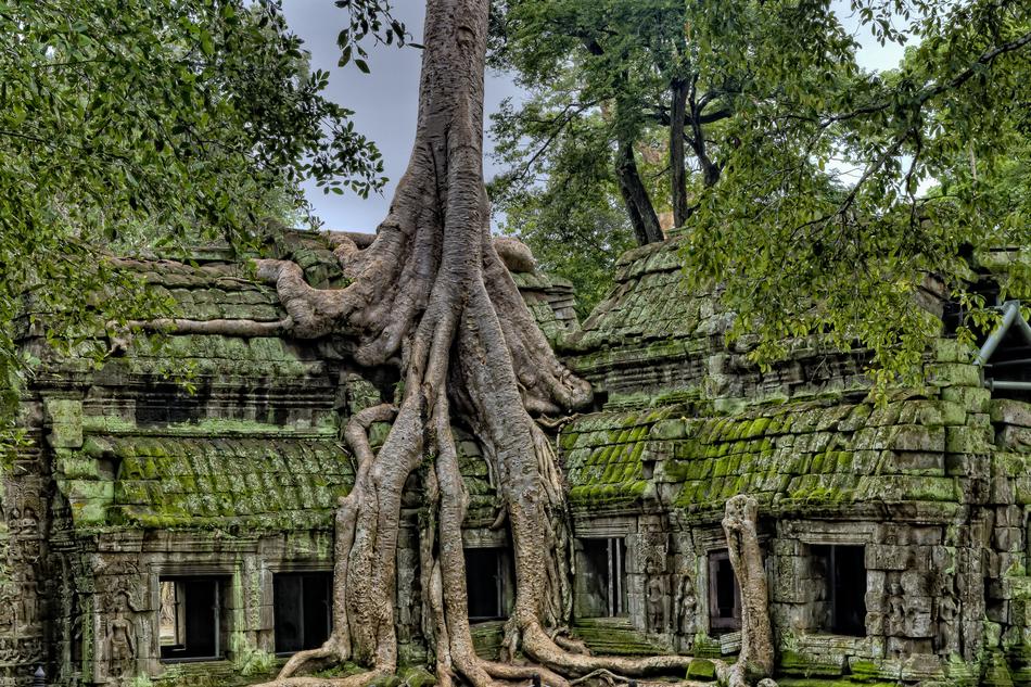 landscape of Ancient Angkor Wat Temples