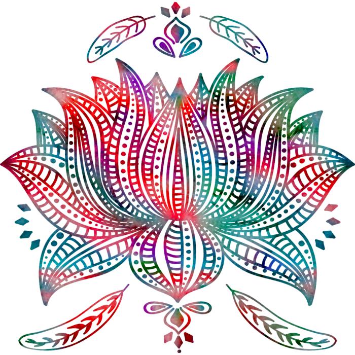 lotus feathers boho drawing