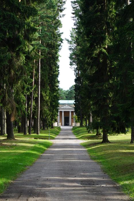 forest path to a temple