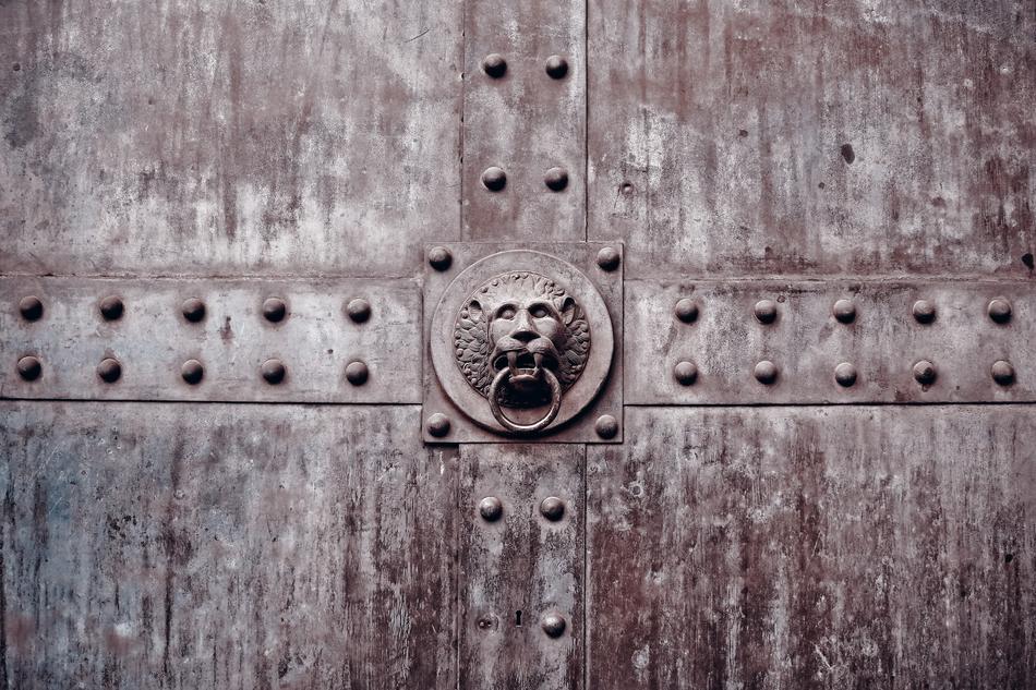 Close-up of the beautiful lion decoration, with the ring, on the door