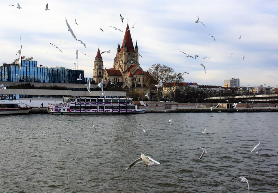 seagulls over the Danube river on the background of the church