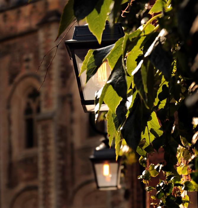 Lantern Church and Vine Leaves