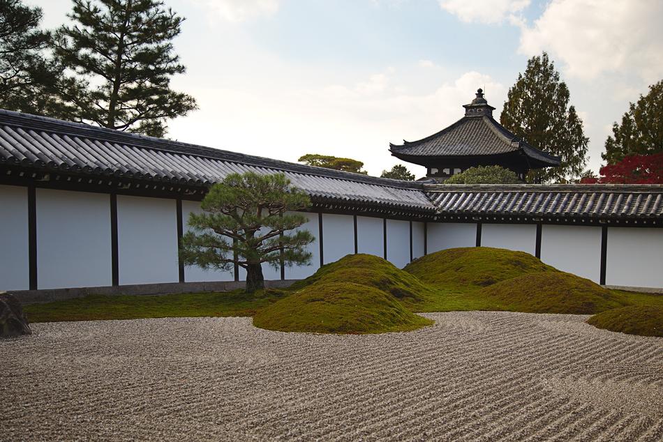 garden in the temple in Kyoto
