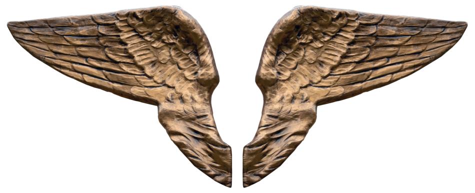 bronze Angel Wings, cut out