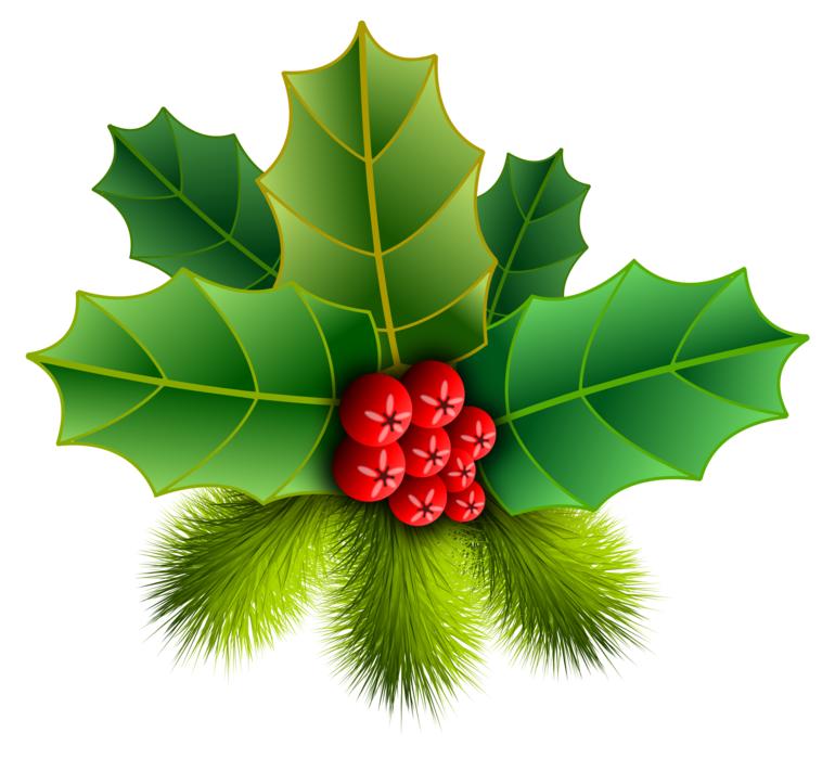 christmas holly pinheiro ornament drawing