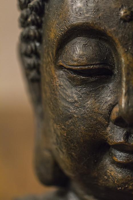 Beautiful portrait of the half face of the brown Buddha statue