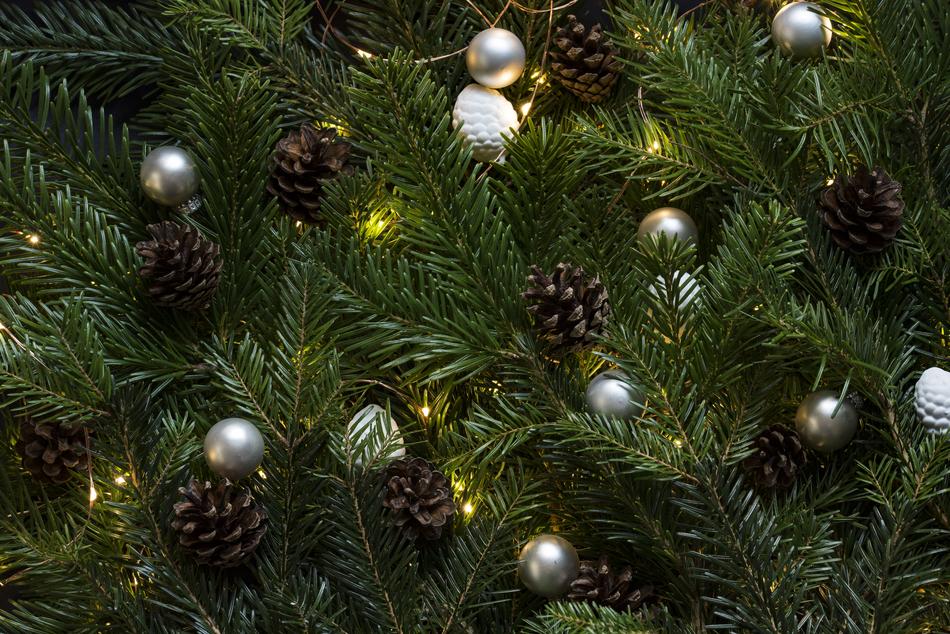 Pinetree Christmas Tree