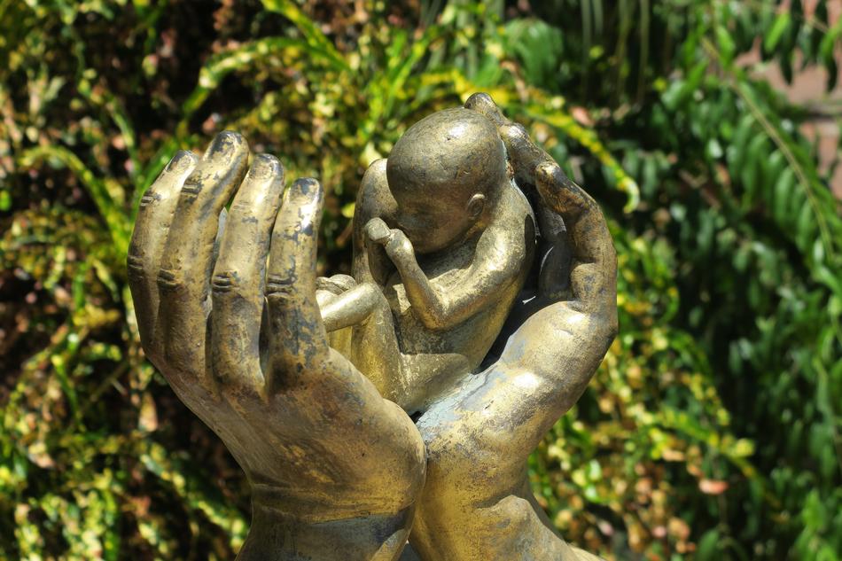 Abortion Hand Protective, santo domingo