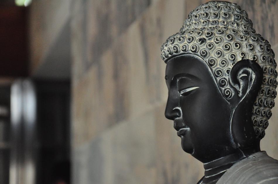 dark buddha in profile on a blurred background