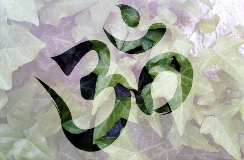 hieroglyph of meditation on the background of plants