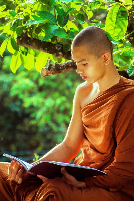Theravada Monk Buddhist