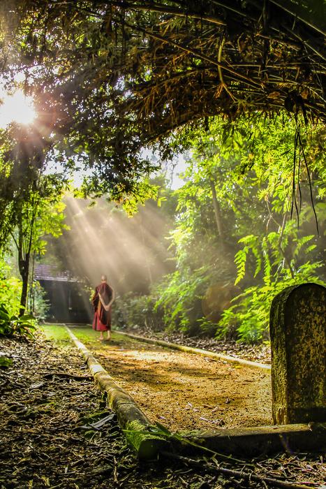 amazing Buddhism Walking