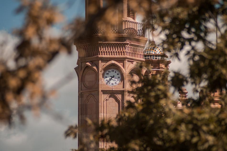 tower of fatima church behind branches, detail, mexico, zacatecas