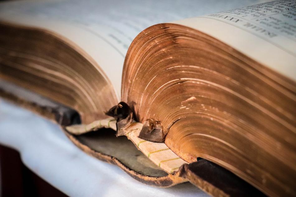 amazing family bible