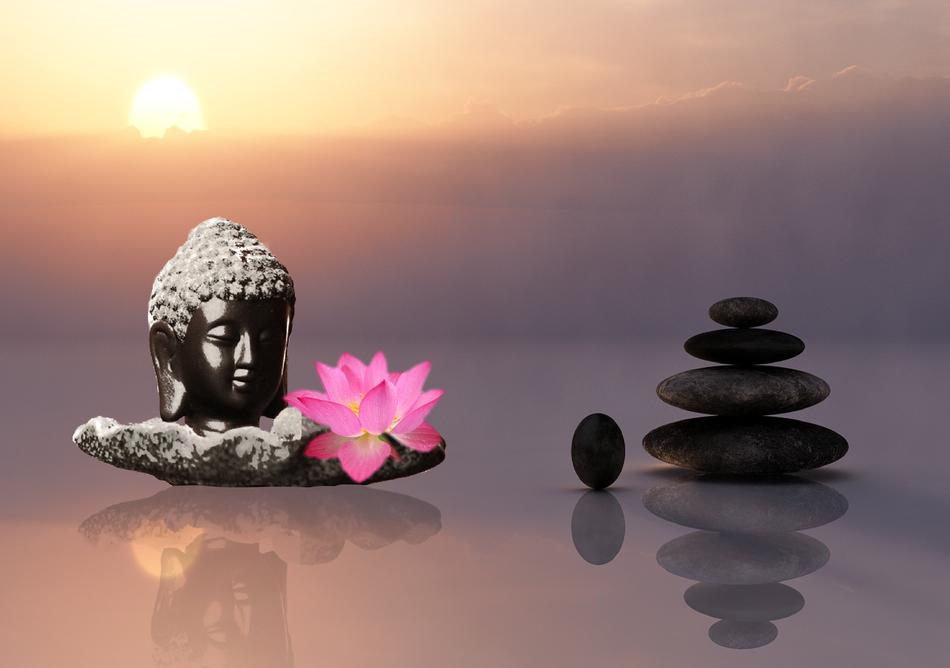 pink lotus, buddha head and folded pebbles